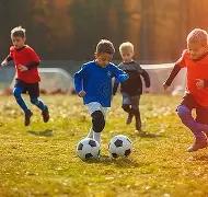 警惕,超标,倍致癌物,英超足球买球网,英超买球网官网,英超买球网站官网入口,英超足球压球买球站