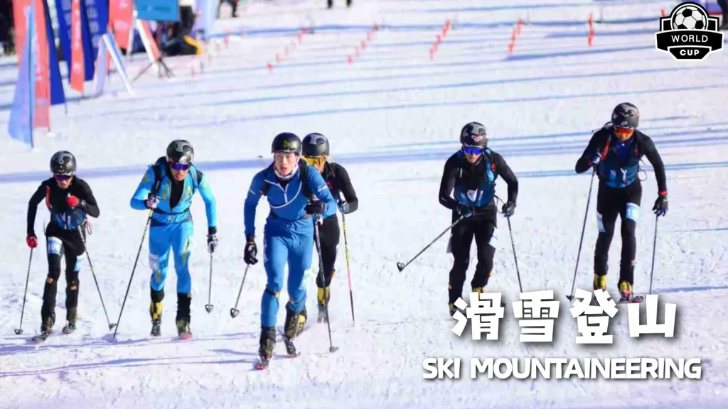 热刺球迷心,碎时刻,列维退场,英超足球买球网,英超买球网官网,英超买球网站官网入口,英超足球压球买球站