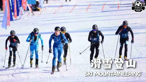 《热刺球迷心碎时刻：列维退场，谁将是他们情感寄托的新焦点？》